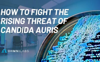 How to Fight the Rising Threat of Candida Auris