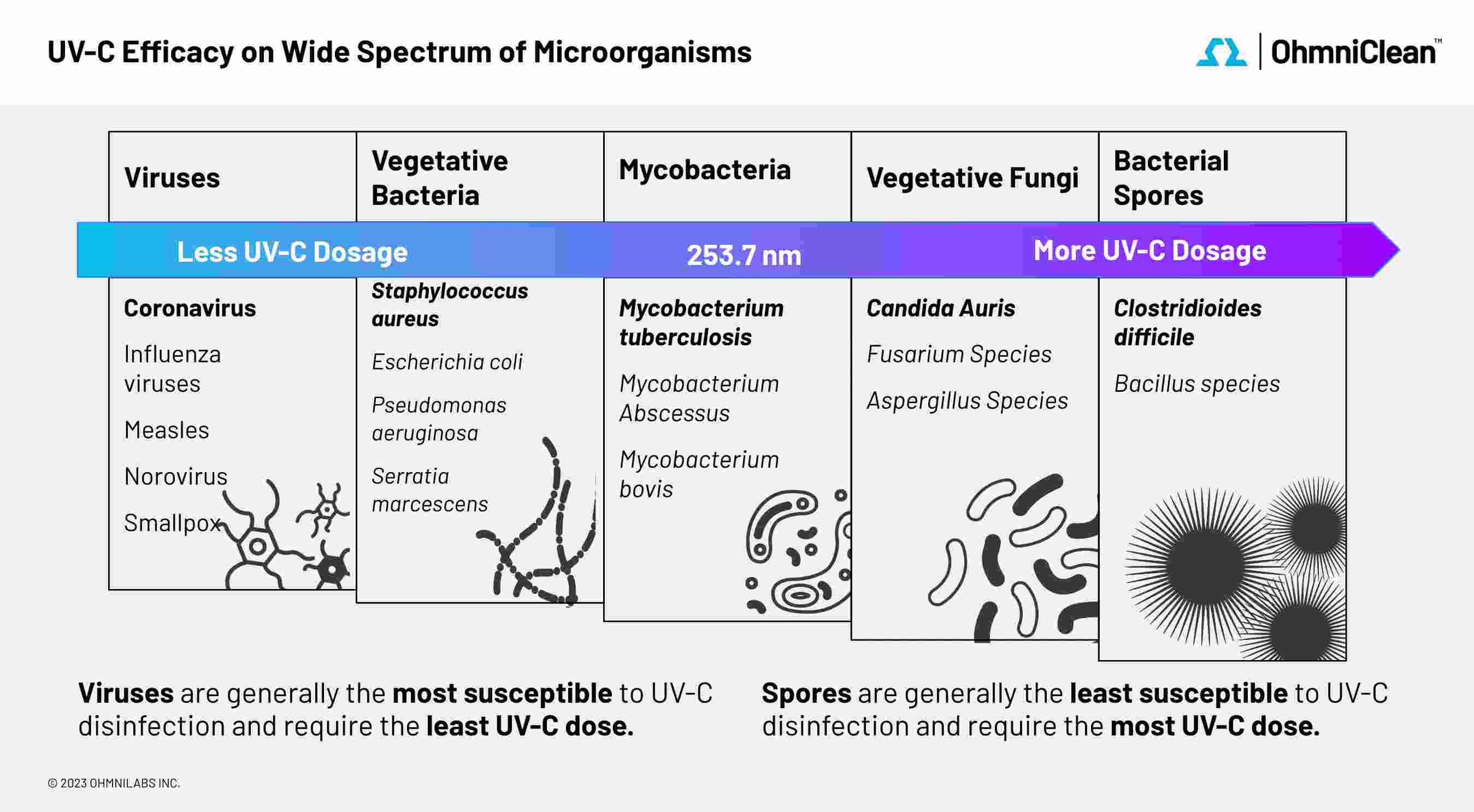 A chart displaying the types of pathogens that can be killed with UV light disinfection systems.